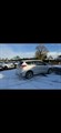 Used Ford Kuga