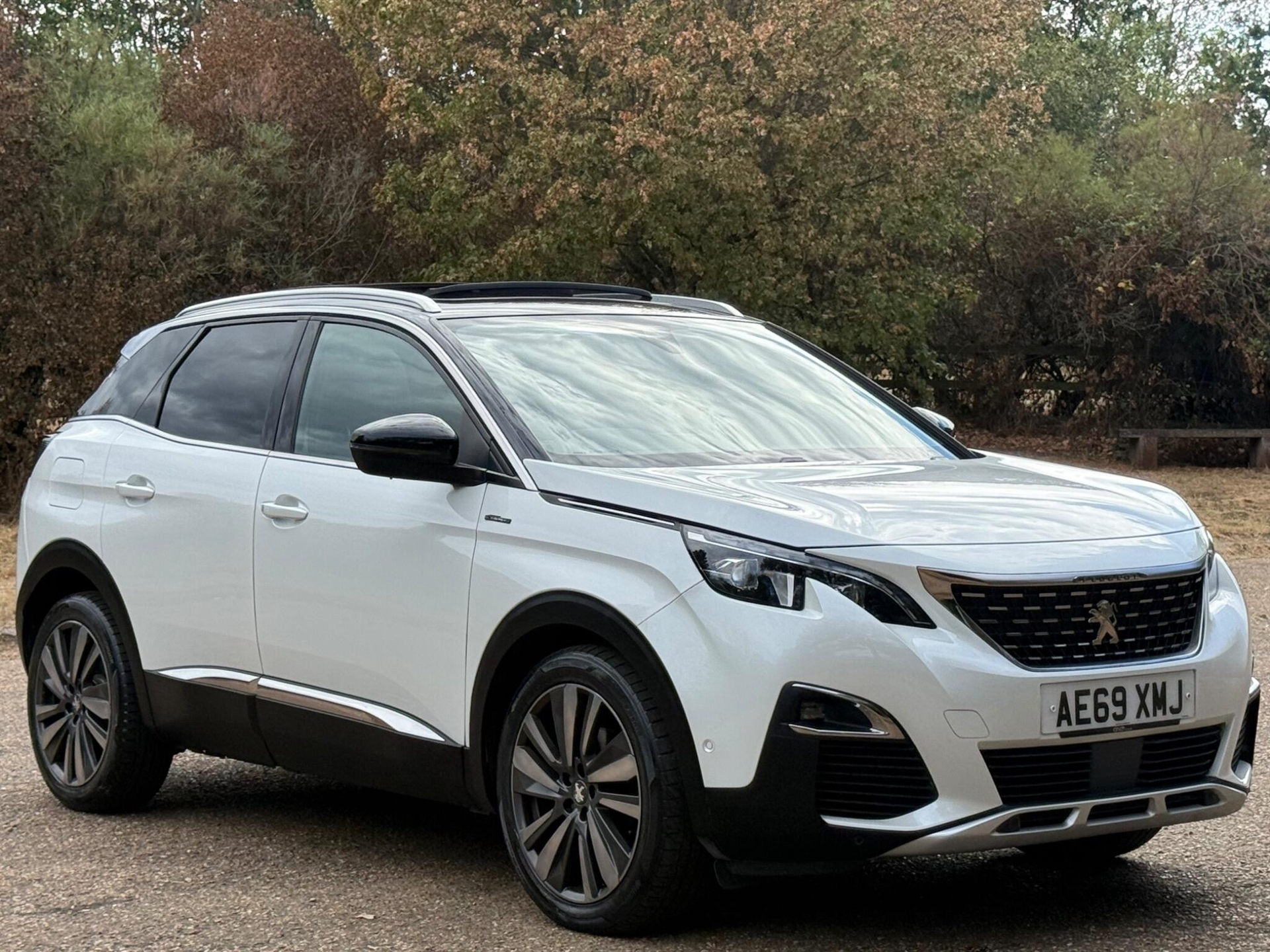 2019 Peugeot 3008