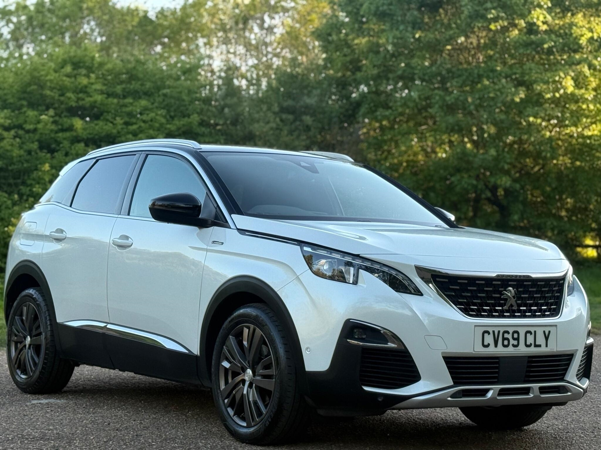 2019 Peugeot 3008