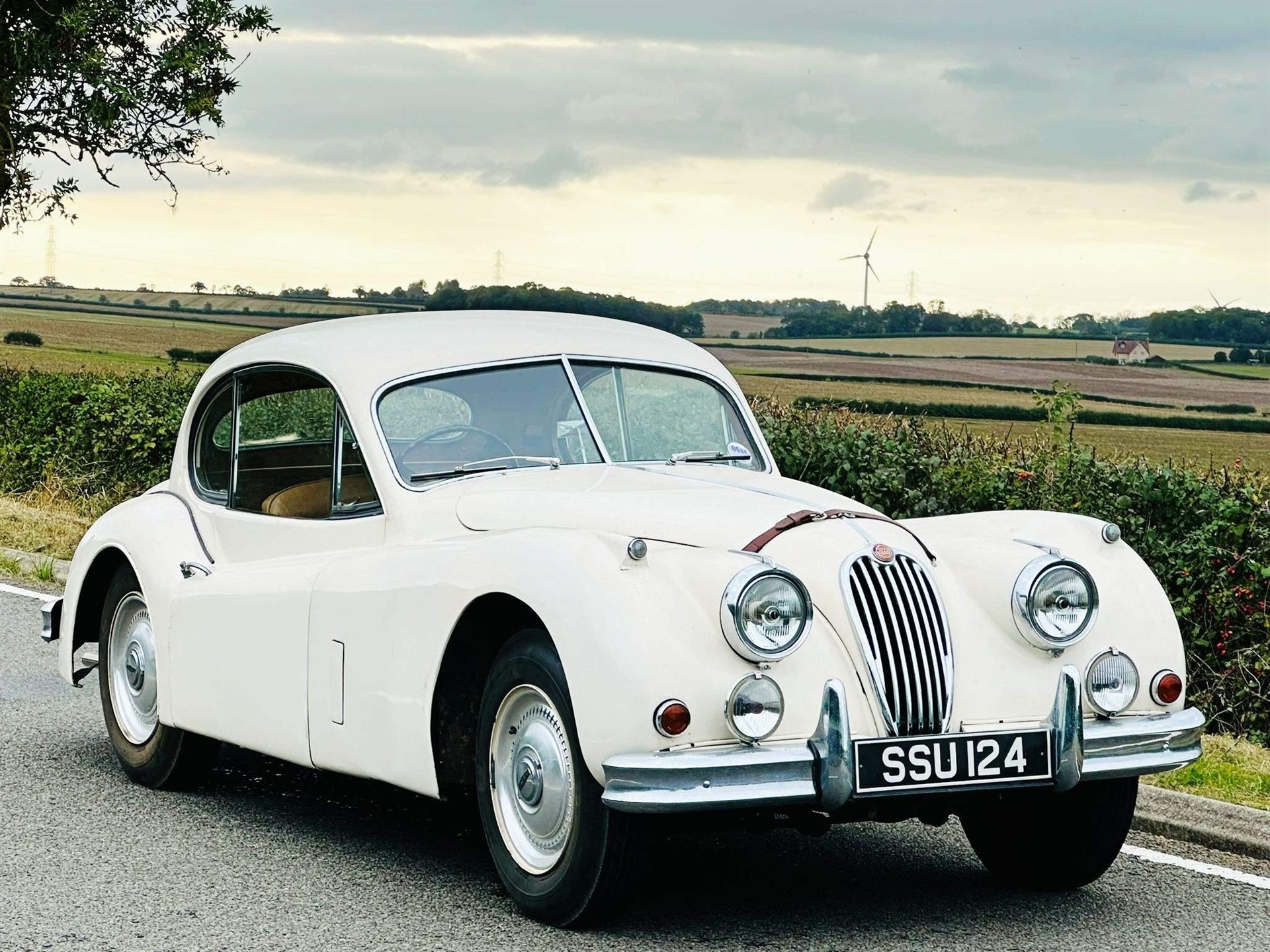 1955 Jaguar XK140