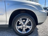 Used Lexus RX