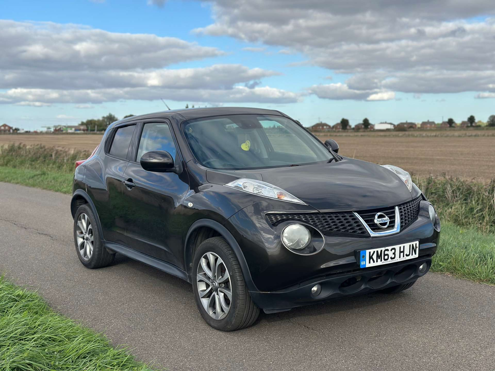 2013 Nissan Juke