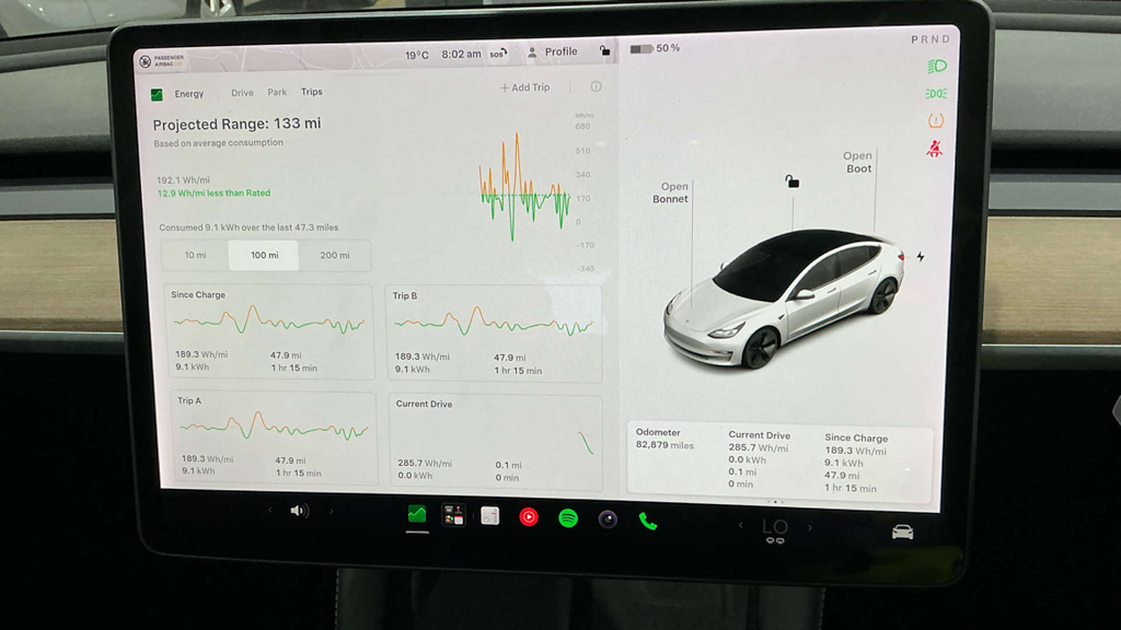 2021 Tesla Model 3 — image 10
