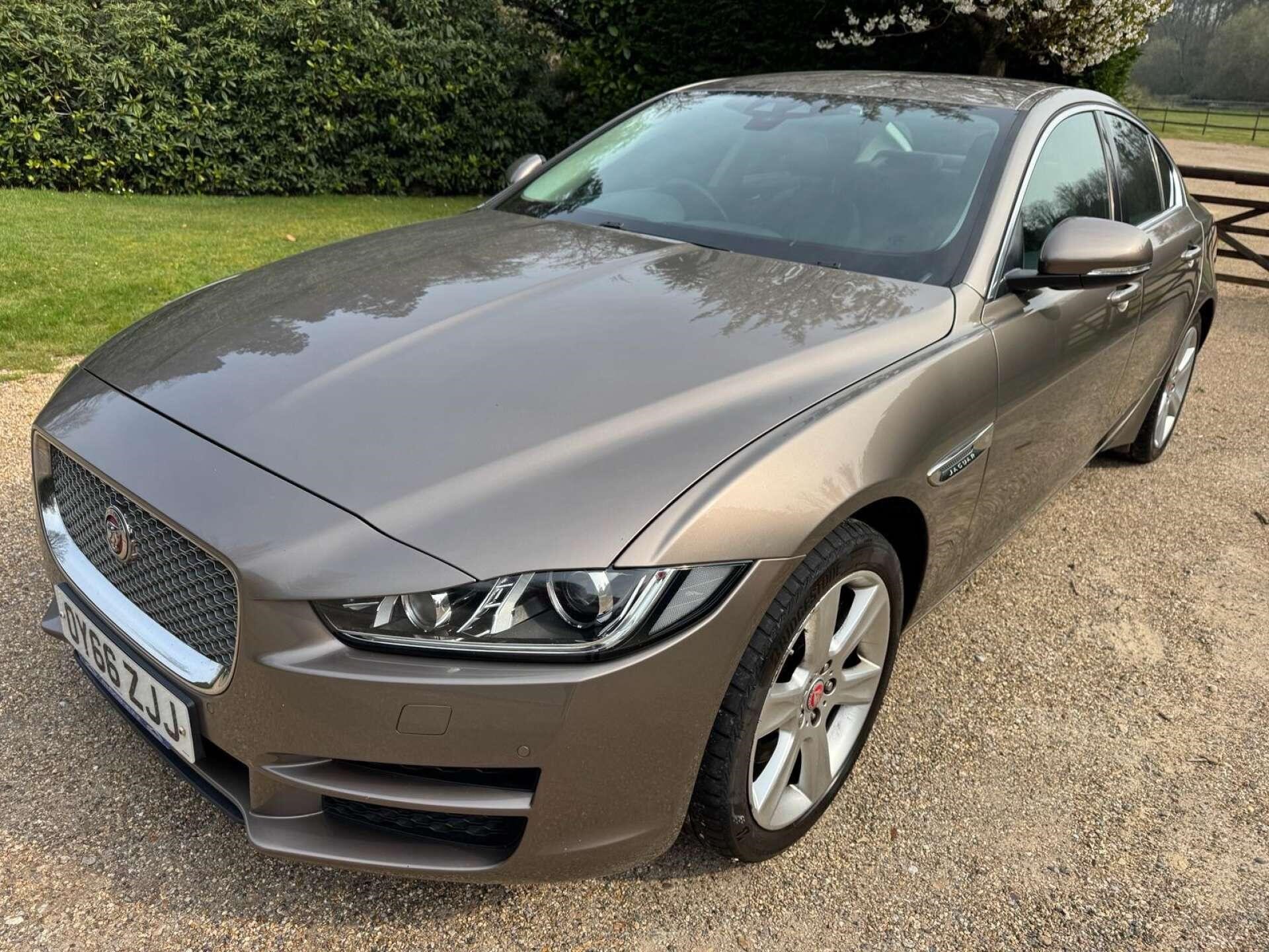 Used Jaguar XE