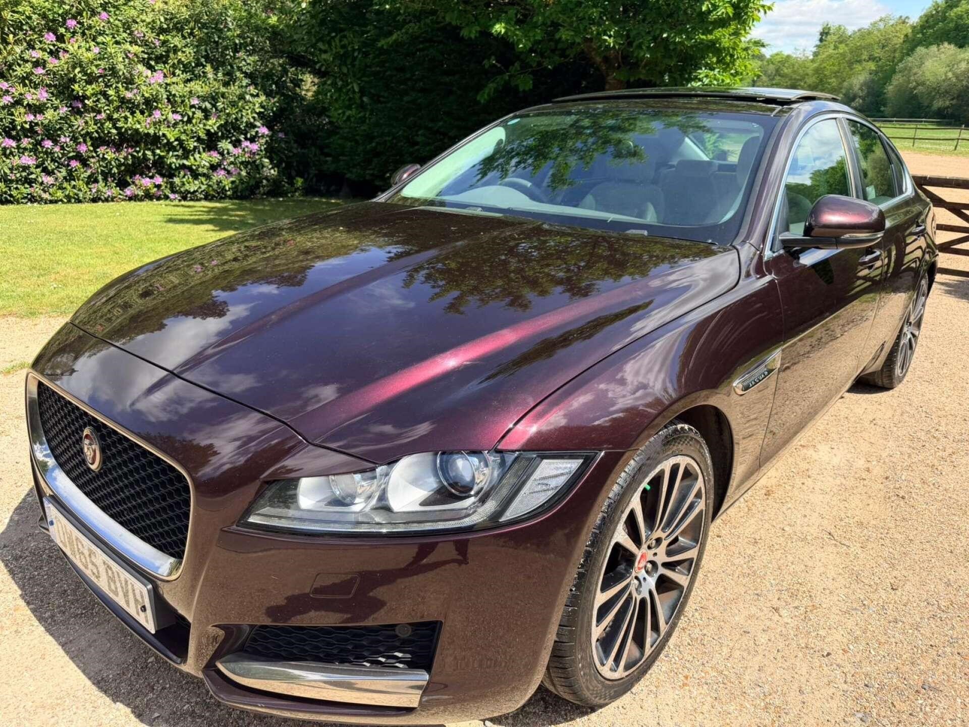 Used Jaguar XF