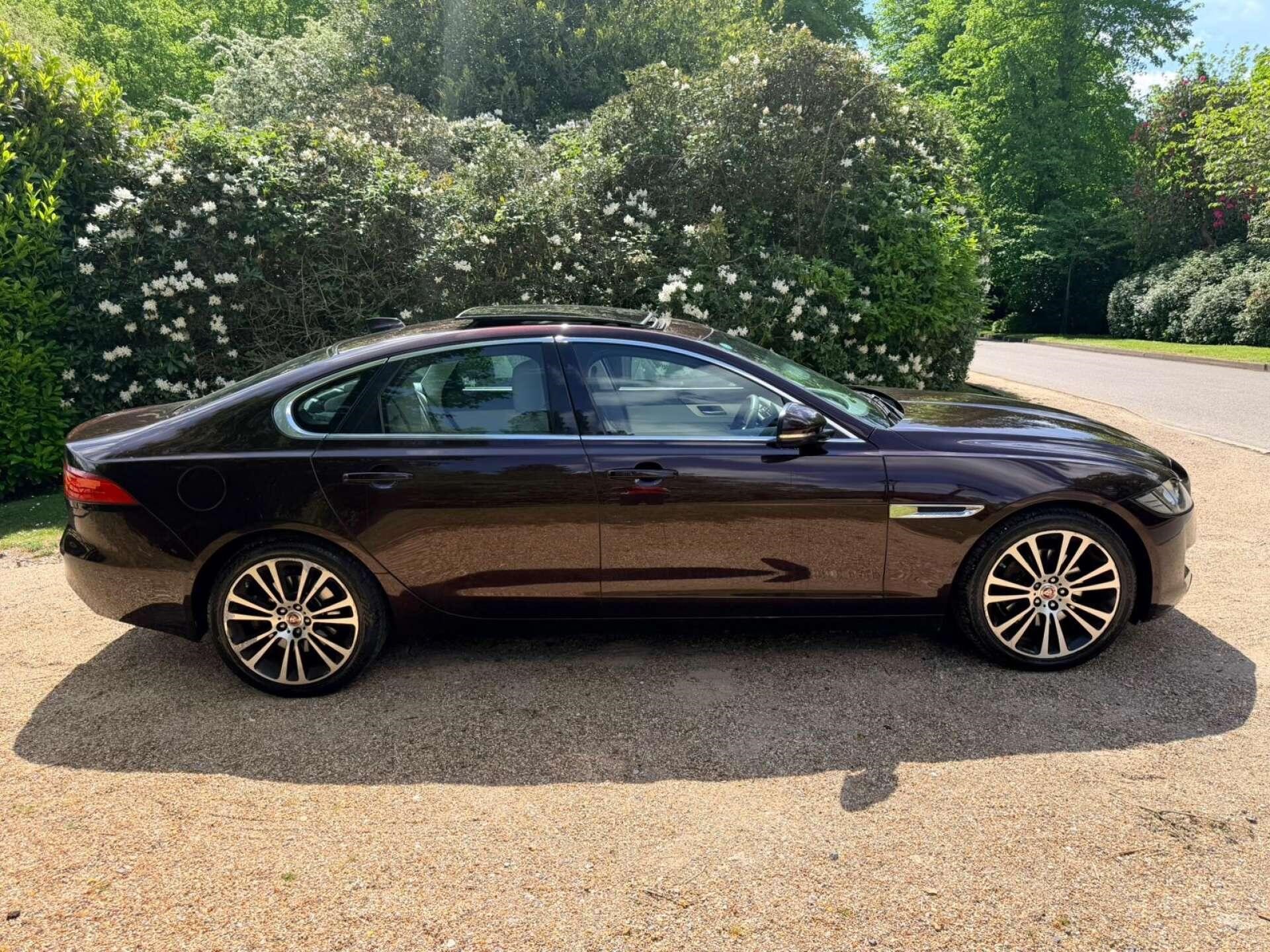 Used Jaguar XF