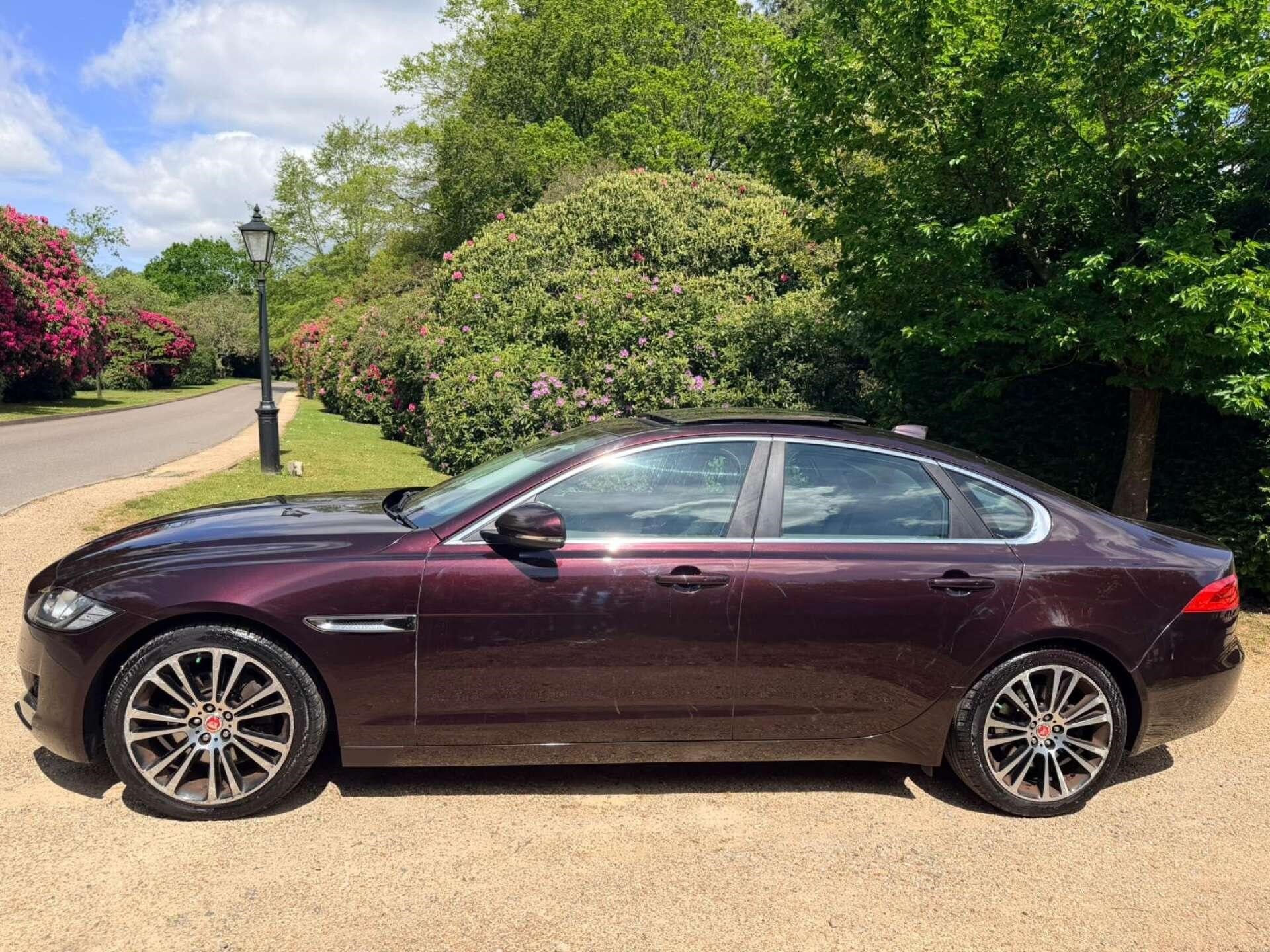 Used Jaguar XF