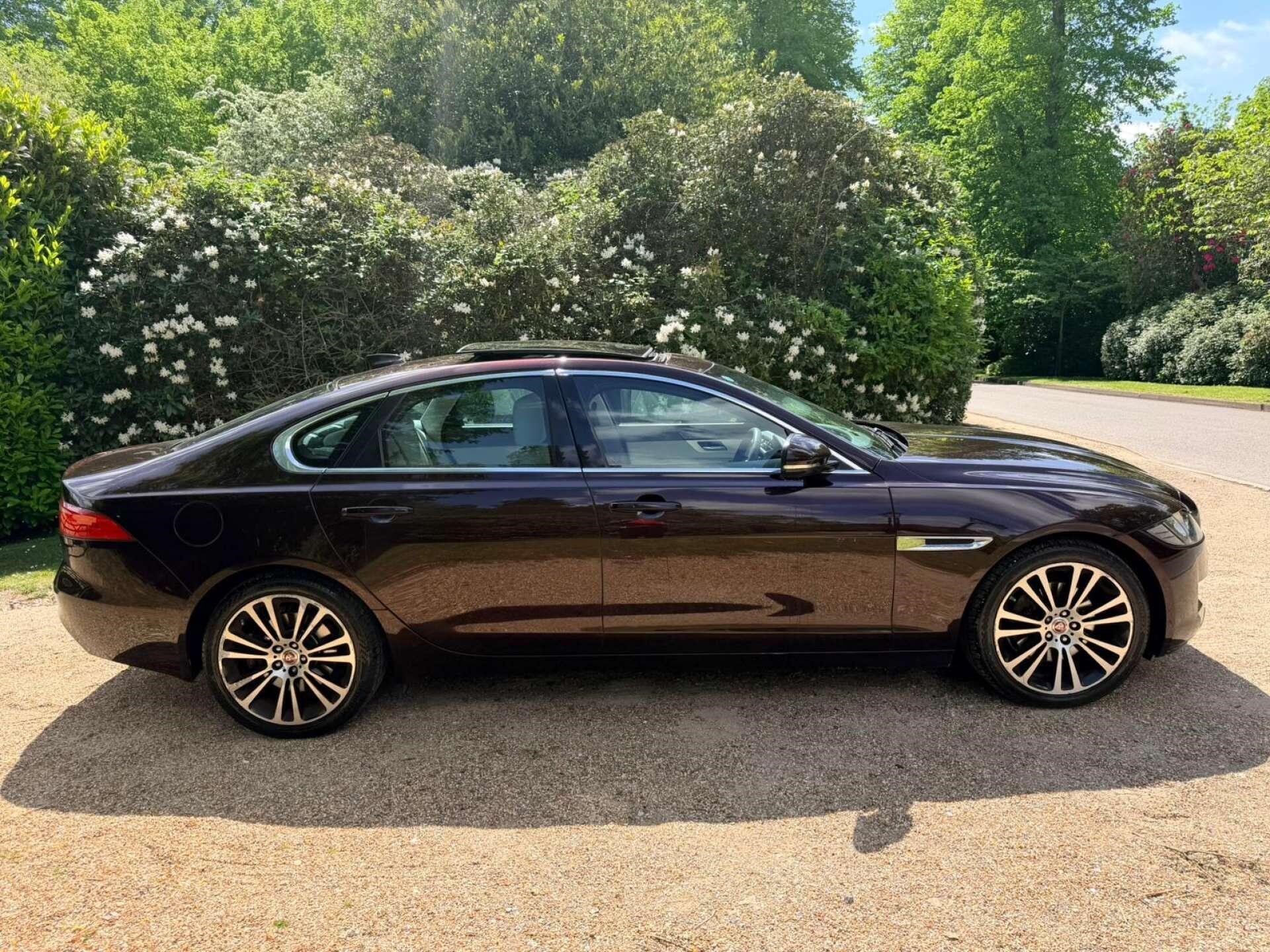 Used Jaguar XF