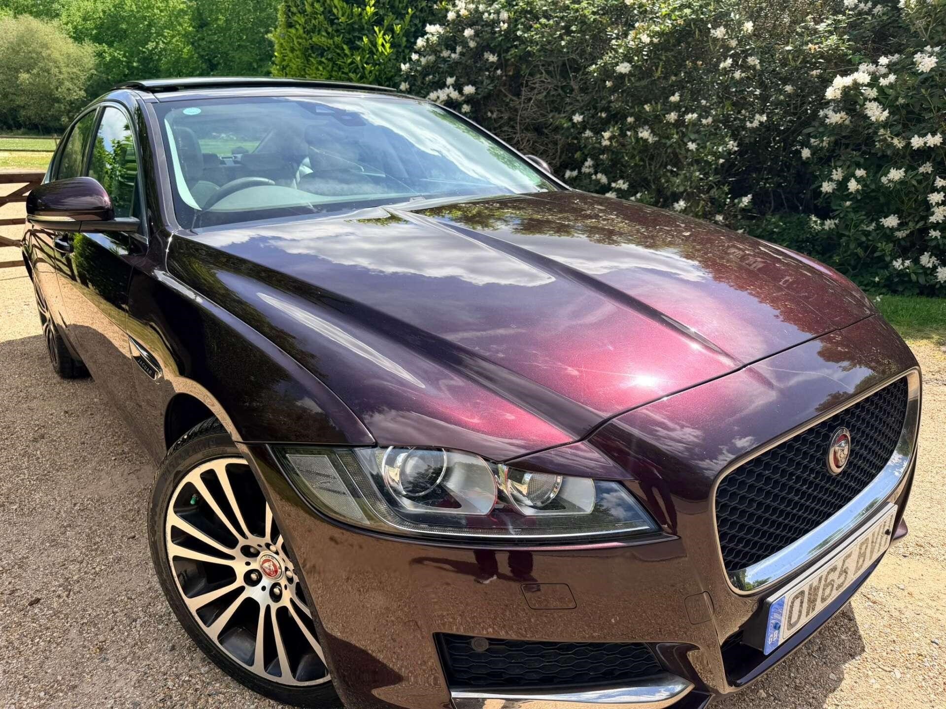 Used Jaguar XF