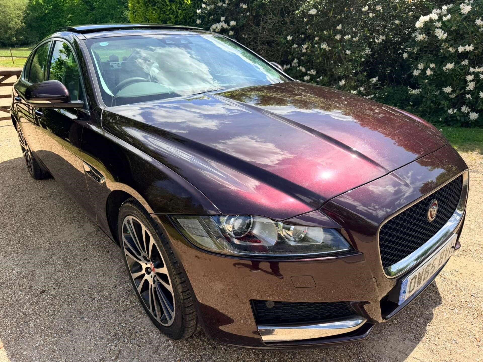 Used Jaguar XF