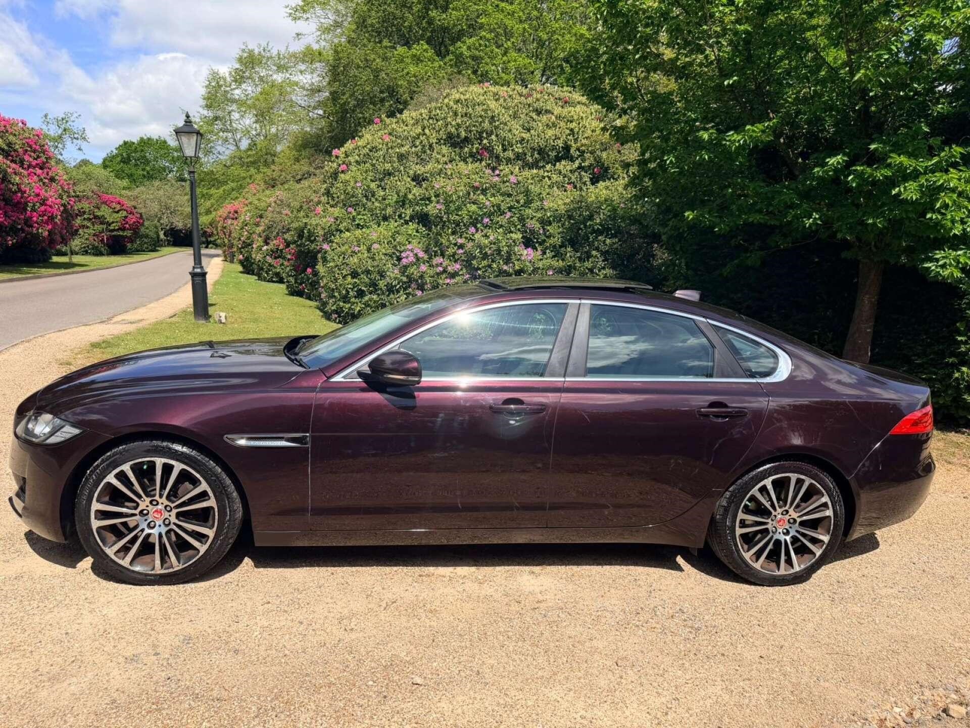 Used Jaguar XF