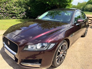 Used Jaguar XF