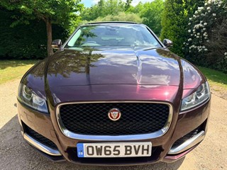 Used Jaguar XF
