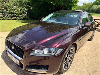 Used Jaguar XF
