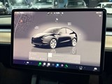 Used Tesla Model Y