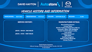 Used SEAT Ibiza from David Hayton Autostore