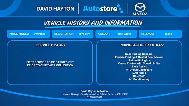 Used Volkswagen Polo