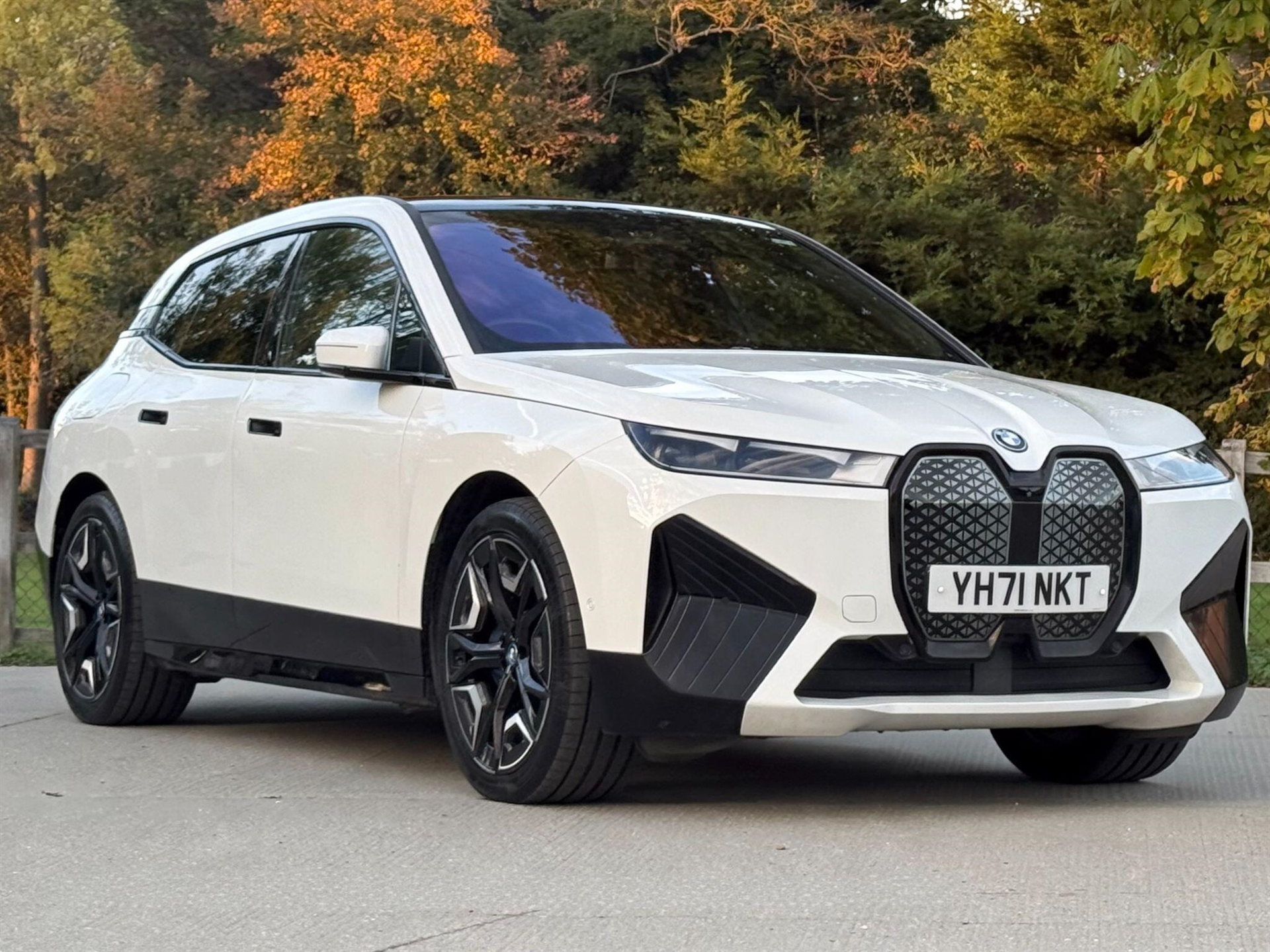 2021 BMW iX