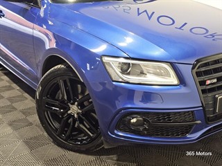 Used Audi SQ5 from 365 Motors